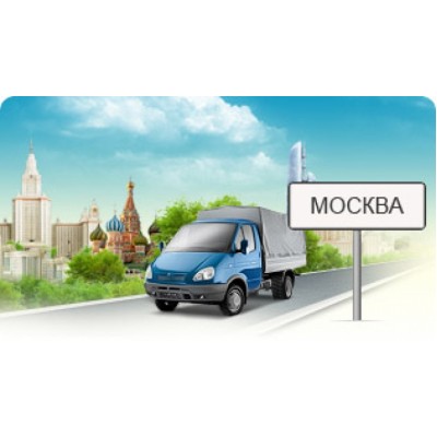 Доставка в Москву на следующий день!